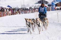 Lenk 2013